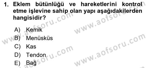 Ortopedik Rehabilitasyon Dersi 2023 - 2024 Yılı (Final) Dönem Sonu Sınav Soruları 1. Soru