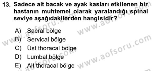 Ortopedik Rehabilitasyon Dersi 2023 - 2024 Yılı (Final) Dönem Sonu Sınav Soruları 13. Soru