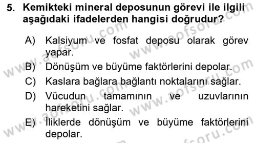 Ortopedik Rehabilitasyon Dersi 2023 - 2024 Yılı (Final) Dönem Sonu Sınav Soruları 5. Soru