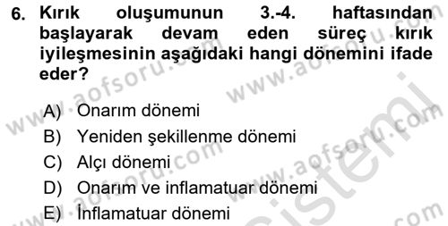 Ortopedik Rehabilitasyon Dersi 2023 - 2024 Yılı (Final) Dönem Sonu Sınav Soruları 6. Soru