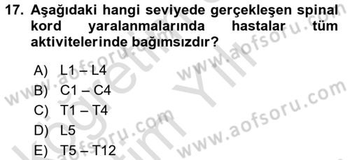 Ortopedik Rehabilitasyon Dersi 2023 - 2024 Yılı Yaz Okulu Sınav Soruları 17. Soru