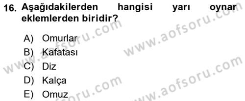 Ortopedik Rehabilitasyon Dersi 2024 - 2025 Yılı (Vize) Ara Sınav Soruları 16. Soru