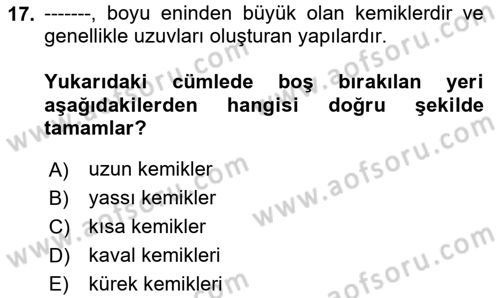 Ortopedik Rehabilitasyon Dersi 2024 - 2025 Yılı (Vize) Ara Sınav Soruları 17. Soru