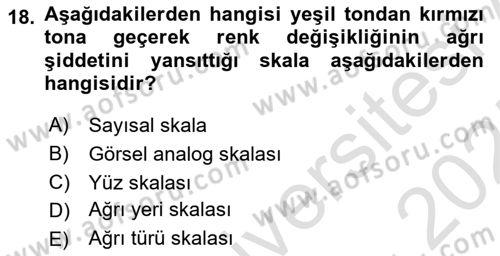 Ortopedik Rehabilitasyon Dersi 2024 - 2025 Yılı (Vize) Ara Sınav Soruları 18. Soru