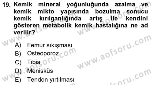 Ortopedik Rehabilitasyon Dersi 2024 - 2025 Yılı (Vize) Ara Sınav Soruları 19. Soru