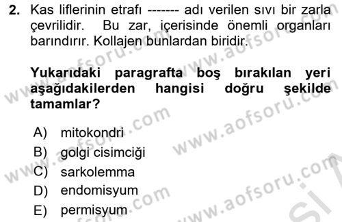 Ortopedik Rehabilitasyon Dersi 2024 - 2025 Yılı (Vize) Ara Sınav Soruları 2. Soru