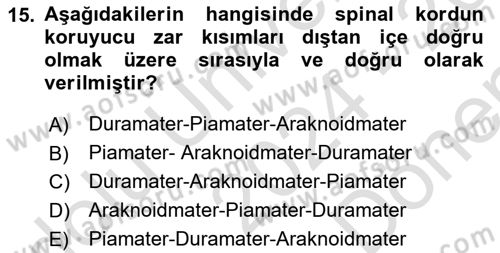 Ortopedik Rehabilitasyon Dersi 2024 - 2025 Yılı (Final) Dönem Sonu Sınav Soruları 15. Soru