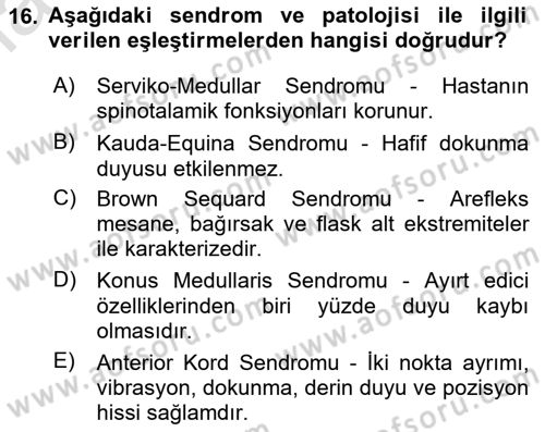 Ortopedik Rehabilitasyon Dersi 2024 - 2025 Yılı (Final) Dönem Sonu Sınav Soruları 16. Soru
