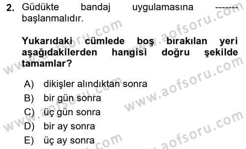 Ortopedik Rehabilitasyon Dersi 2024 - 2025 Yılı (Final) Dönem Sonu Sınav Soruları 2. Soru
