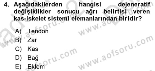 Ortopedik Rehabilitasyon Dersi 2024 - 2025 Yılı (Final) Dönem Sonu Sınav Soruları 4. Soru