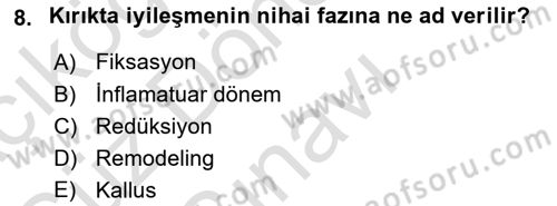 Ortopedik Rehabilitasyon Dersi 2024 - 2025 Yılı (Final) Dönem Sonu Sınav Soruları 8. Soru