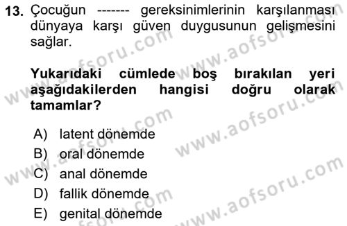 Gelişimsel Yetersizliklerin Bakım ve Rehabilitasyonu Dersi 2018 - 2019 Yılı (Vize) Ara Sınav Soruları 13. Soru