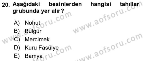 Gelişimsel Yetersizliklerin Bakım ve Rehabilitasyonu Dersi 2018 - 2019 Yılı (Vize) Ara Sınav Soruları 20. Soru