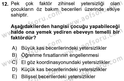 Gelişimsel Yetersizliklerin Bakım ve Rehabilitasyonu Dersi 2018 - 2019 Yılı Yaz Okulu Sınav Soruları 12. Soru