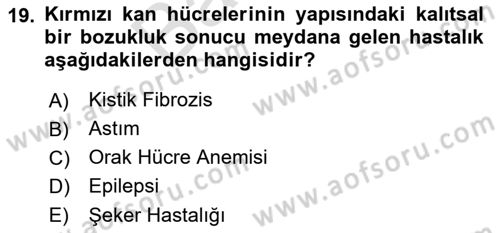 Gelişimsel Yetersizliklerin Bakım ve Rehabilitasyonu Dersi 2021 - 2022 Yılı (Final) Dönem Sonu Sınav Soruları 19. Soru
