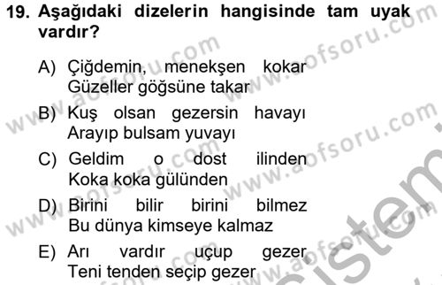 Halk Edebiyatına Giriş 1 Dersi Ara Sınavı Deneme Sınav Soruları 19. Soru