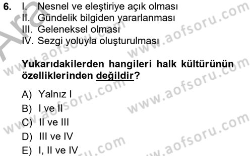 Halk Edebiyatına Giriş 1 Dersi 2012 - 2013 Yılı (Vize) Ara Sınav Soruları 6. Soru