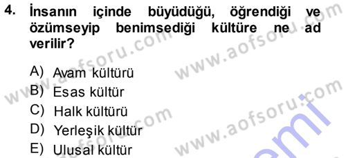 Halk Edebiyatına Giriş 1 Dersi Ara Sınavı Deneme Sınav Soruları 4. Soru