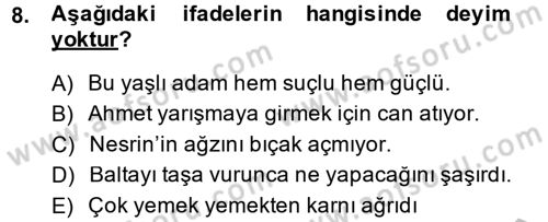 Halk Edebiyatına Giriş 1 Dersi 2014 - 2015 Yılı (Final) Dönem Sonu Sınav Soruları 8. Soru