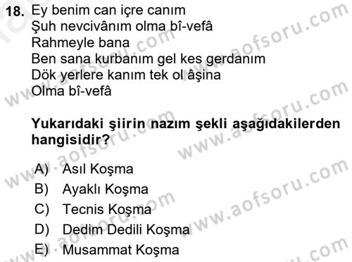 Halk Edebiyatına Giriş 1 Dersi 2018 - 2019 Yılı (Vize) Ara Sınav Soruları 18. Soru