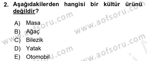 Halk Edebiyatına Giriş 1 Dersi 2018 - 2019 Yılı (Vize) Ara Sınav Soruları 2. Soru
