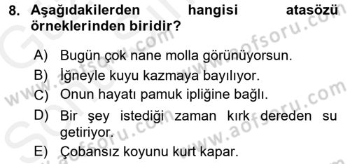 Halk Edebiyatına Giriş 1 Dersi 2018 - 2019 Yılı (Final) Dönem Sonu Sınav Soruları 8. Soru