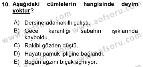 Halk Edebiyatına Giriş 1 Dersi 2018 - 2019 Yılı Yaz Okulu Sınav Soruları 10. Soru
