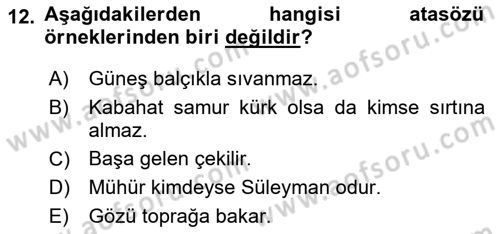 Halk Edebiyatına Giriş 1 Dersi 2018 - 2019 Yılı Yaz Okulu Sınav Soruları 12. Soru