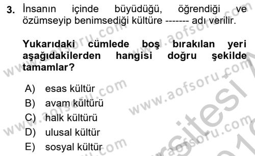 Halk Edebiyatına Giriş 1 Dersi 2018 - 2019 Yılı Yaz Okulu Sınav Soruları 3. Soru