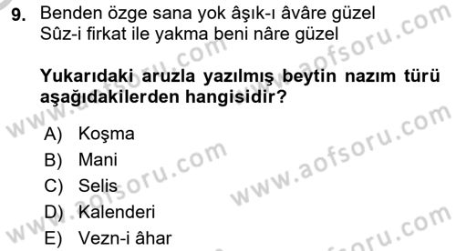 Halk Edebiyatına Giriş 1 Dersi 2018 - 2019 Yılı Yaz Okulu Sınav Soruları 9. Soru