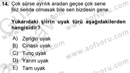 Halk Edebiyatına Giriş 1 Dersi Ara Sınavı Deneme Sınav Soruları 14. Soru