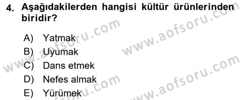 Halk Edebiyatına Giriş 1 Dersi Ara Sınavı Deneme Sınav Soruları 4. Soru