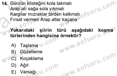 Halk Edebiyatına Giriş 1 Dersi Ara Sınavı Deneme Sınav Soruları 14. Soru