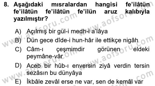 Halk Edebiyatına Giriş 1 Dersi 2023 - 2024 Yılı Yaz Okulu Sınav Soruları 8. Soru