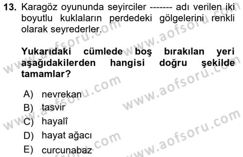 Halk Edebiyatına Giriş 2 Dersi 2018 - 2019 Yılı (Vize) Ara Sınav Soruları 13. Soru