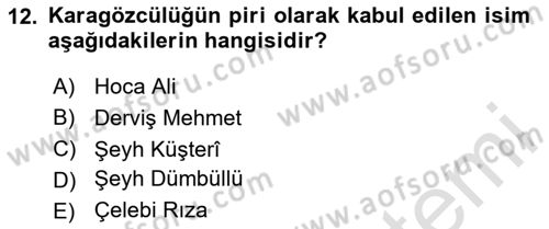 Halk Edebiyatına Giriş 2 Dersi 2023 - 2024 Yılı (Vize) Ara Sınav Soruları 12. Soru