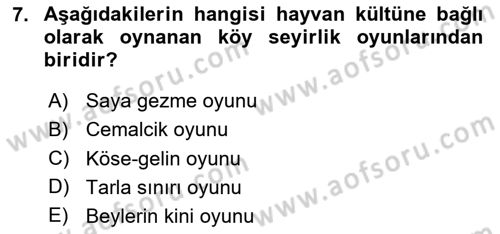 Halk Edebiyatına Giriş 2 Dersi 2023 - 2024 Yılı (Vize) Ara Sınav Soruları 7. Soru