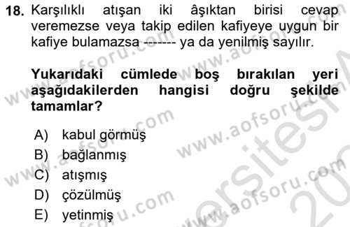 Halk Edebiyatına Giriş 2 Dersi 2023 - 2024 Yılı (Final) Dönem Sonu Sınav Soruları 18. Soru