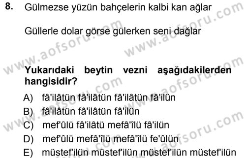 Eski Türk Edebiyatına Giriş: Biçim ve Ölçü Dersi 2012 - 2013 Yılı (Final) Dönem Sonu Sınav Soruları 8. Soru