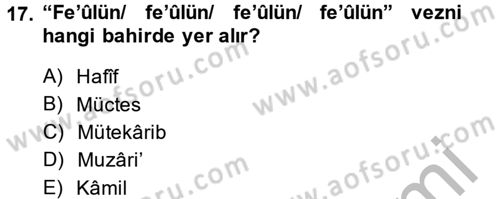 Eski Türk Edebiyatına Giriş: Biçim ve Ölçü Dersi 2014 - 2015 Yılı (Final) Dönem Sonu Sınav Soruları 17. Soru