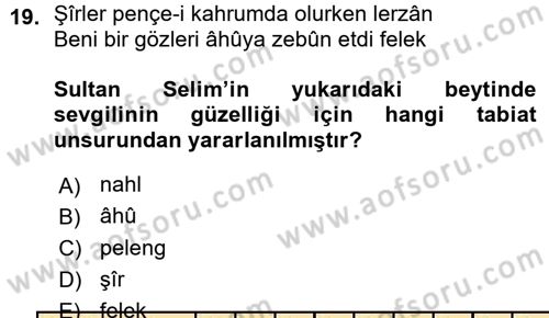 Eski Türk Edebiyatına Giriş: Biçim ve Ölçü Dersi Ara Sınavı Deneme Sınav Soruları 19. Soru