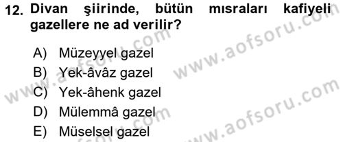Eski Türk Edebiyatına Giriş: Biçim ve Ölçü Dersi Ara Sınavı Deneme Sınav Soruları 12. Soru