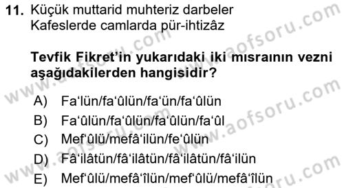Eski Türk Edebiyatına Giriş: Biçim ve Ölçü Dersi 2018 - 2019 Yılı Yaz Okulu Sınav Soruları 11. Soru