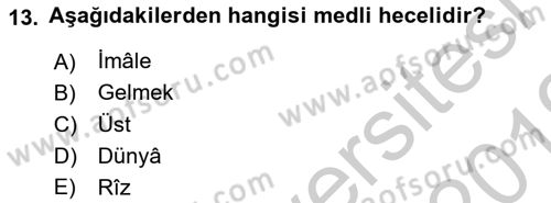 Eski Türk Edebiyatına Giriş: Biçim ve Ölçü Dersi 2018 - 2019 Yılı Yaz Okulu Sınav Soruları 13. Soru