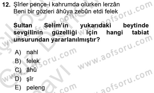 Eski Türk Edebiyatına Giriş: Biçim ve Ölçü Dersi 2019 - 2020 Yılı (Vize) Ara Sınav Soruları 12. Soru