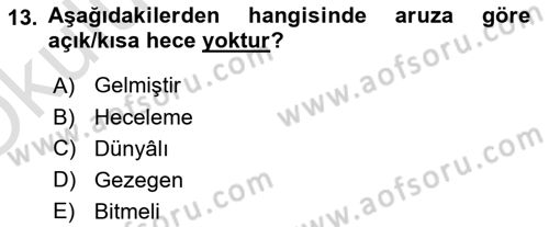 Eski Türk Edebiyatına Giriş: Biçim ve Ölçü Dersi 2021 - 2022 Yılı Yaz Okulu Sınav Soruları 13. Soru