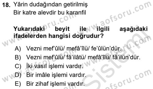 Eski Türk Edebiyatına Giriş: Biçim ve Ölçü Dersi 2021 - 2022 Yılı Yaz Okulu Sınav Soruları 18. Soru