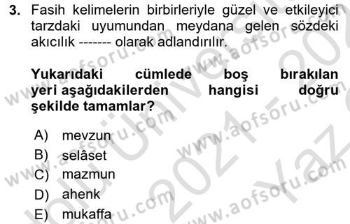 Eski Türk Edebiyatına Giriş: Biçim ve Ölçü Dersi 2021 - 2022 Yılı Yaz Okulu Sınav Soruları 3. Soru