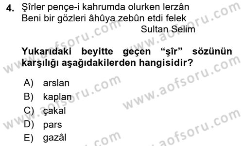 Eski Türk Edebiyatına Giriş: Biçim ve Ölçü Dersi 2021 - 2022 Yılı Yaz Okulu Sınav Soruları 4. Soru