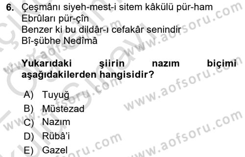 Eski Türk Edebiyatına Giriş: Biçim ve Ölçü Dersi 2021 - 2022 Yılı Yaz Okulu Sınav Soruları 6. Soru